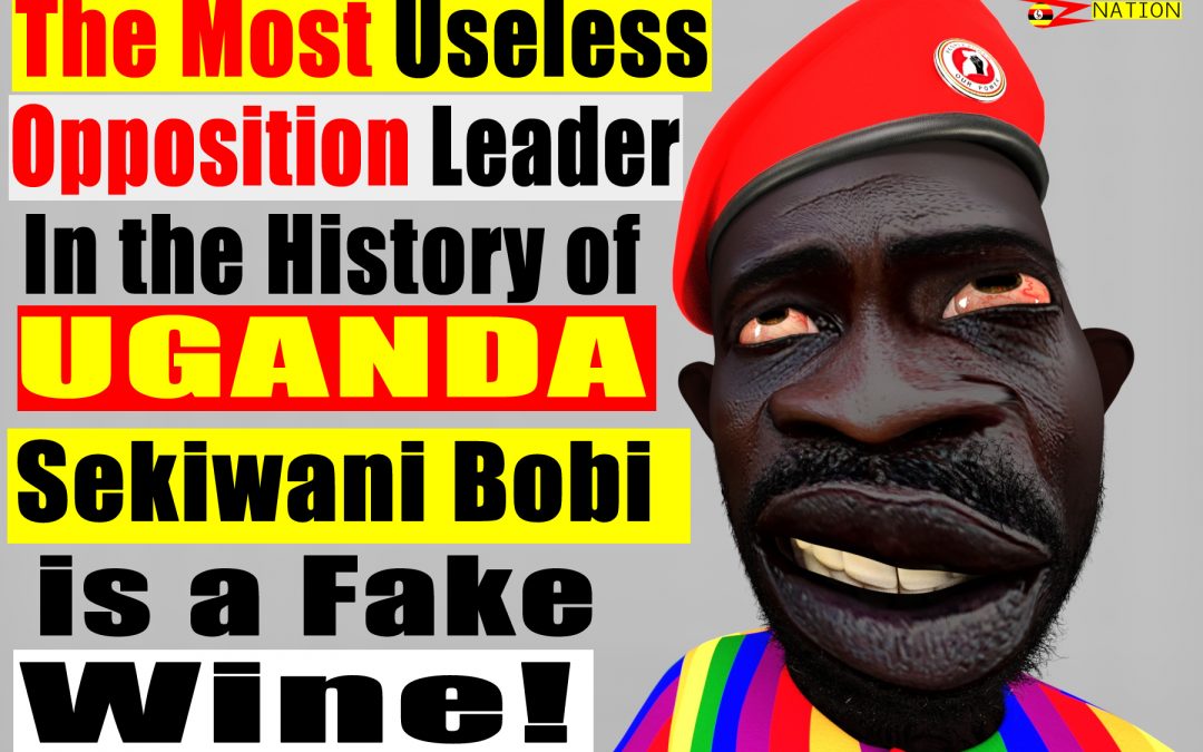 INFIGHTING BETWEEN THE NATIONAL UNITY PLATFORM