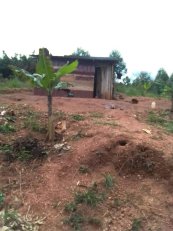 Yoweri Museveni