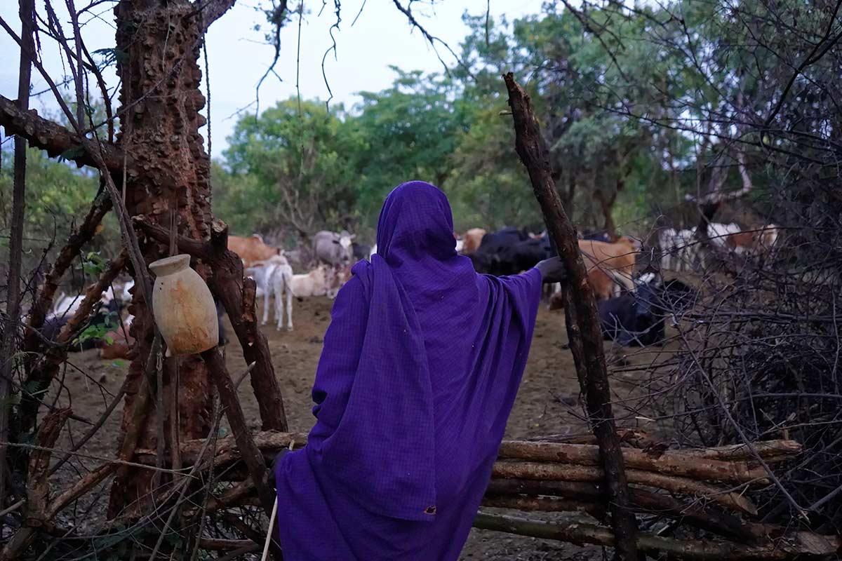 Karamoja