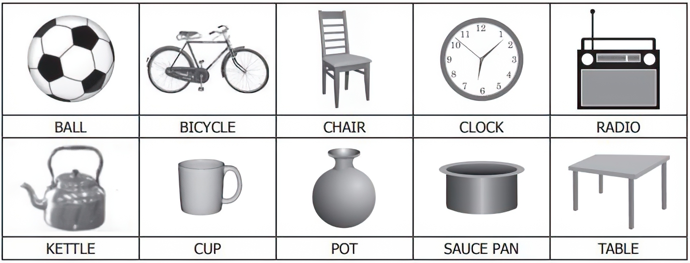 OLDER PERSONS ELECTIONS